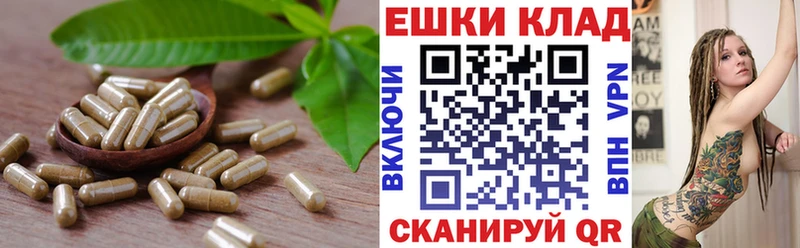 ЭКСТАЗИ бентли  где купить наркотик  KRAKEN как войти  Подольск 