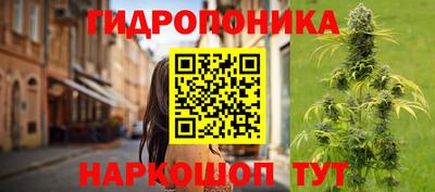 мескалин Кингисепп