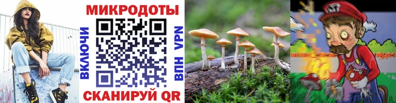 что такое   kraken зеркало  Галлюциногенные грибы мицелий  Подольск 
