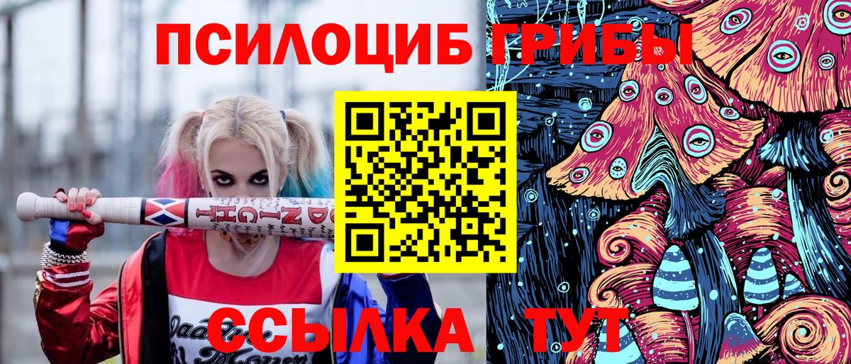 Подольск  Псилоцибиновые грибы Magic Shrooms  Псилоцибиновые грибы ЛСД  как найти закладки  Вход с VPN 