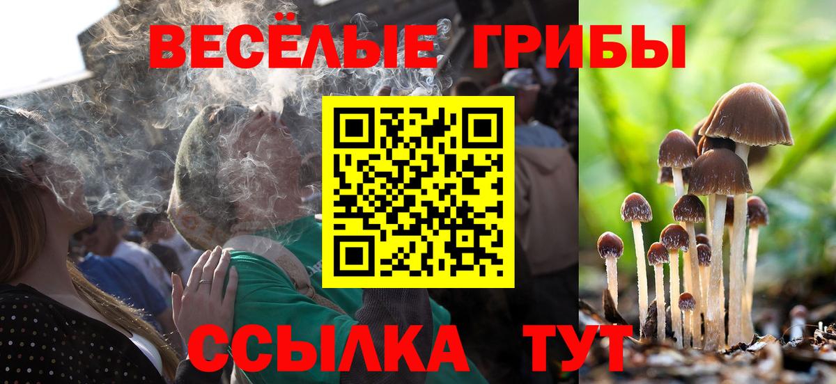 Псилоцибиновые грибы GOLDEN TEACHER Подольск